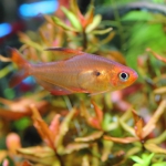 飼育303日目